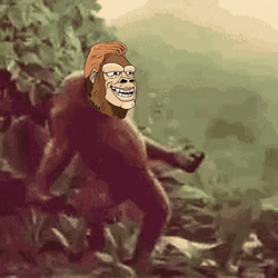 Animated Meme Monkey Face Dancing GIF