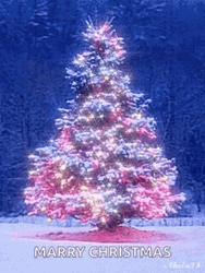 Animated Merry Christmas Swirling Christmas Tree GIF