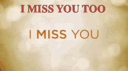 Animated Miss You Too Like Crazy Text GIF