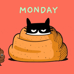 Animated Monday Cozy Grumpy Black Cat GIF