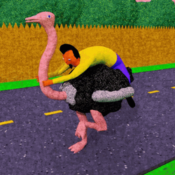 Animated Ostrich Ride Roundtrip GIF