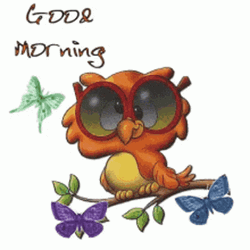 Animated Owl Dizzy Good Morning GIF