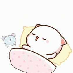 Animated Peach Cat Sleep Snoring Sticker  GIF