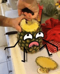 Animated Pineapple Funny Cartoon GIF