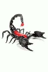 Animated Poisonous Scorpion GIF