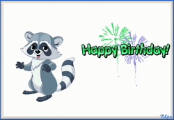 Animated Raccoon Happy Birthday With Fireworks