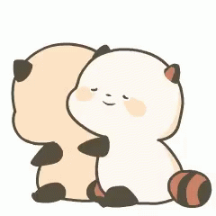 Animated Raccoon Hug GIF