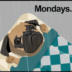 Animated Rainy Monday Sleepy Pug GIF