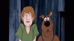 Animated Scared Shaggy And Scooby Doo GIF