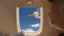 Animated Seagull Flying Salute GIF