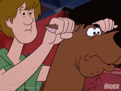 Animated Shaggy Riding Scooby Doo Adjusting Gears On Ears GIF