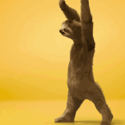 Animated Sloth Dancing