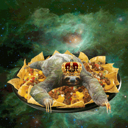 Animated Sloth Diving On The Nacho GIF