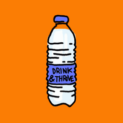 Animated Sport Water Bottle