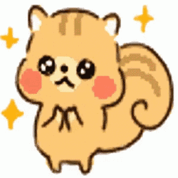 Animated Squirrel Googly Eyes GIF