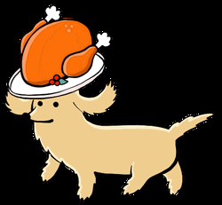 Animated Thanksgiving Turkey On Dog's Head GIF