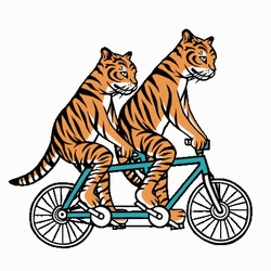 Animated Tigers Tandem Bicycle Ride