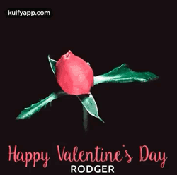 Animated Valentines Day Pink Rose GIF
