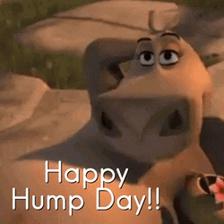 Animated Wednesday Gloria From Madagascar GIF