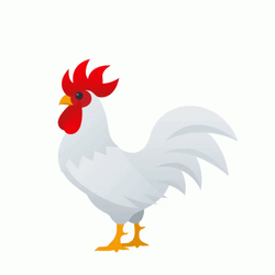Animated White Rooster Crowing GIF