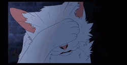 Animated White Warrior Cats GIF