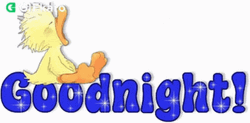 Animated Yawning Duck Says Good Night GIF