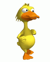Animated Yellow Duck Walking GIF