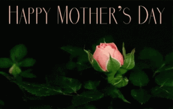 Animation Happy Mother Day Growing Flower GIF