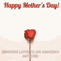 Animation Happy Mother Day Petals Forming Heart GIF