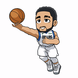 Animation Jalen Brunson Celebration Ball Exhibition GIF