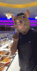 Animation Rat Like Take Selfie GIF