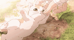 Anime Aesthetic Playing Cute Little Kitten