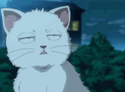 Anime Cat Gintoki Gintama Dead-fish Eye