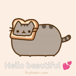 Anime Cat Pusheen Bread Head Greeting