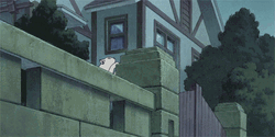 Anime Cat Returns Cat Jumping Wall