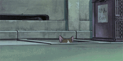 Anime Cat Returns Cat Sneaking Out