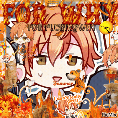 Anime Characters Collage For Fucking Why GIF
