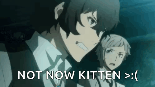 Anime Characters Standing Next To Each Other Not Now Kitten GIF