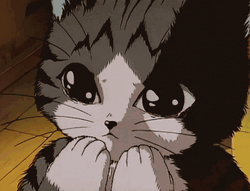 Anime Cute Cat Kyaa Crying