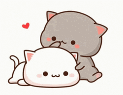 Anime Cute Mochimochi Peach Cat Cuddling
