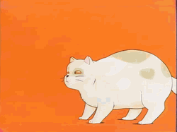 Anime Fat Cat