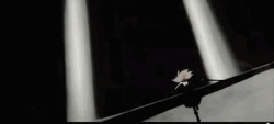 Anime Fierce Sword Fighting  GIF