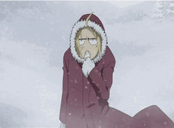 Anime Freezing Edward Elric