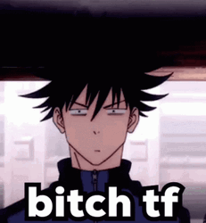 Anime Jujutsu Kaisen Megumi Fushiguro Bitch Tf GIF