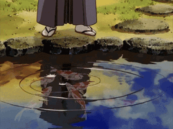 Anime Koi Fish Feeding GIF