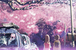 Anime Love 5 Centimeters Per Second GIF