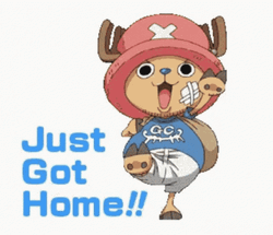 Anime One Piece Chopper Just Got Home GIF