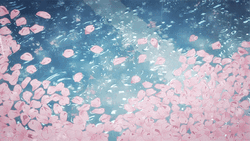 Anime Rain Pink Petals