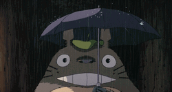 Anime Rain Totoro