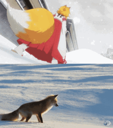 Anime Senko The Helpful Fox Dive Into Snow GIF 